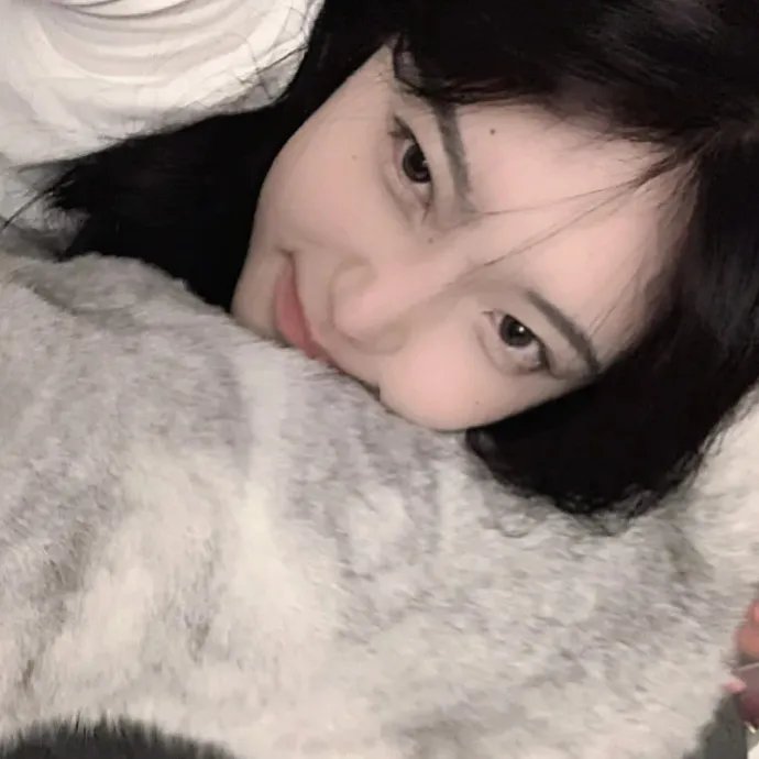 八面玲珑的申小姐