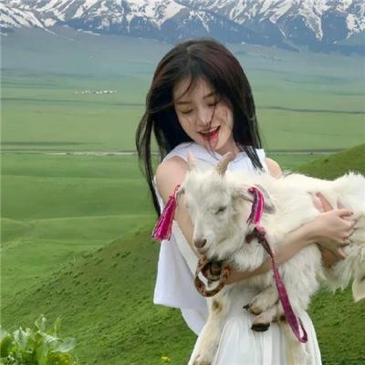 消失的收藏家